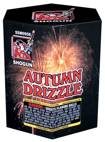 AUTUMN DRIZZLE 19 SHOTS